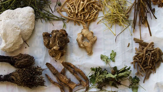 Sowa-Rigpa-Herbs